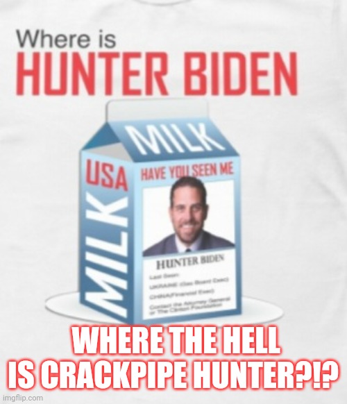 WHERE THE HELL IS CRACKPIPE HUNTER?!? | image tagged in president trump,election 2020,winning | made w/ Imgflip meme maker