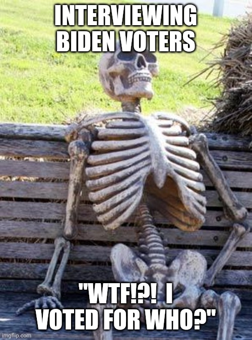 Waiting Skeleton | INTERVIEWING BIDEN VOTERS; "WTF!?!  I VOTED FOR WHO?" | image tagged in memes,waiting skeleton | made w/ Imgflip meme maker