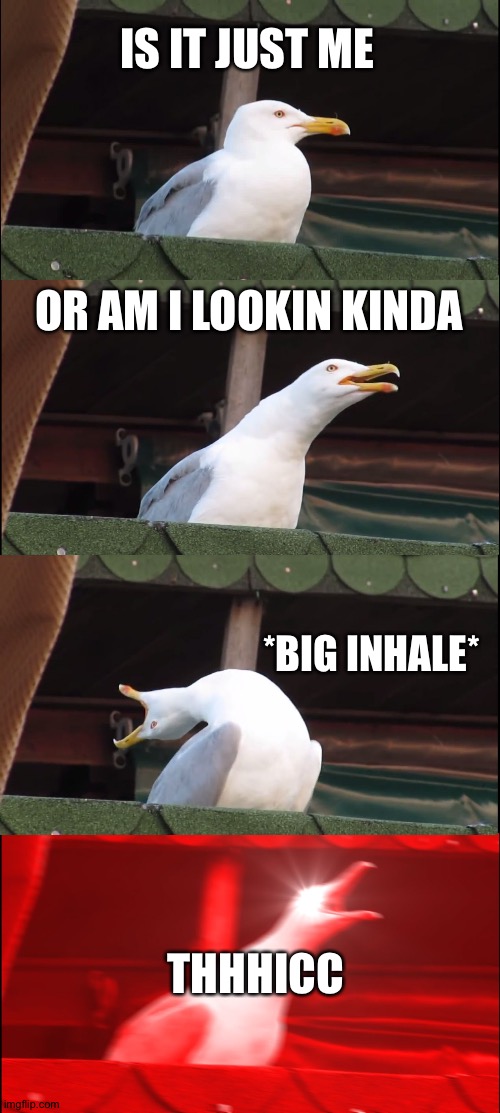 dani seagull | IS IT JUST ME; OR AM I LOOKIN KINDA; *BIG INHALE*; THHHICC | image tagged in memes,inhaling seagull | made w/ Imgflip meme maker