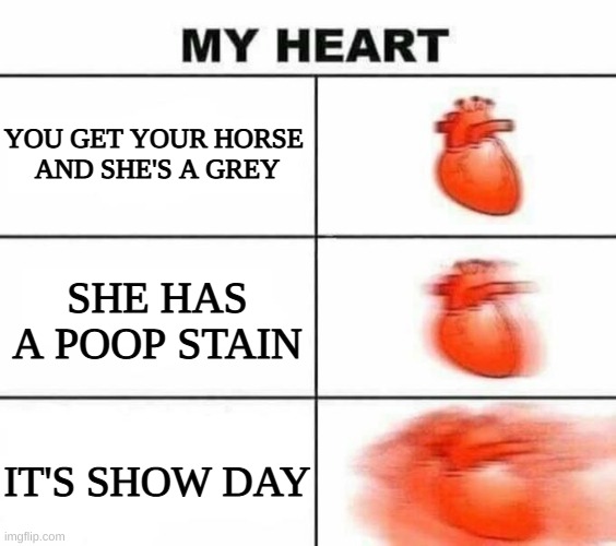 A equestrians nightmare | YOU GET YOUR HORSE 
AND SHE'S A GREY; SHE HAS A POOP STAIN; IT'S SHOW DAY | image tagged in my heart blank | made w/ Imgflip meme maker