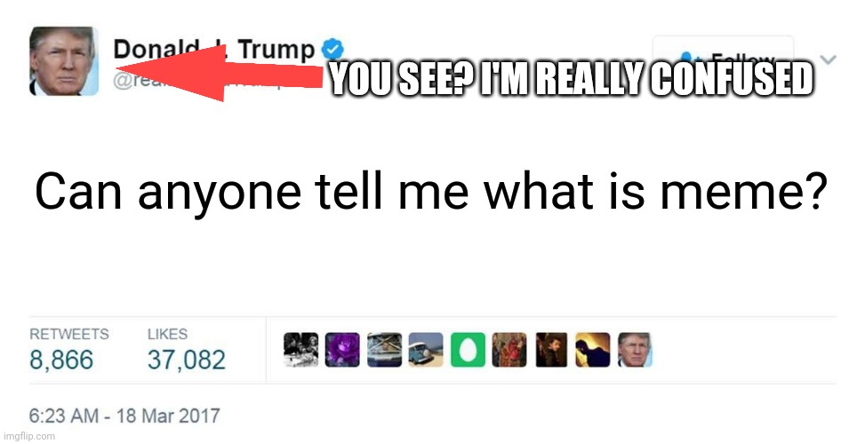 TRUMP TWEET BLANK | YOU SEE? I'M REALLY CONFUSED; Can anyone tell me what is meme? | image tagged in trump tweet blank | made w/ Imgflip meme maker