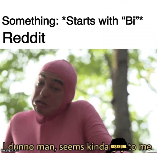I dunno man | Something: *Starts with “Bi”*; Reddit; BISEXUAL | image tagged in i dunno man seems kinda gay to me,memes,gay,bisexual,reddit,society | made w/ Imgflip meme maker