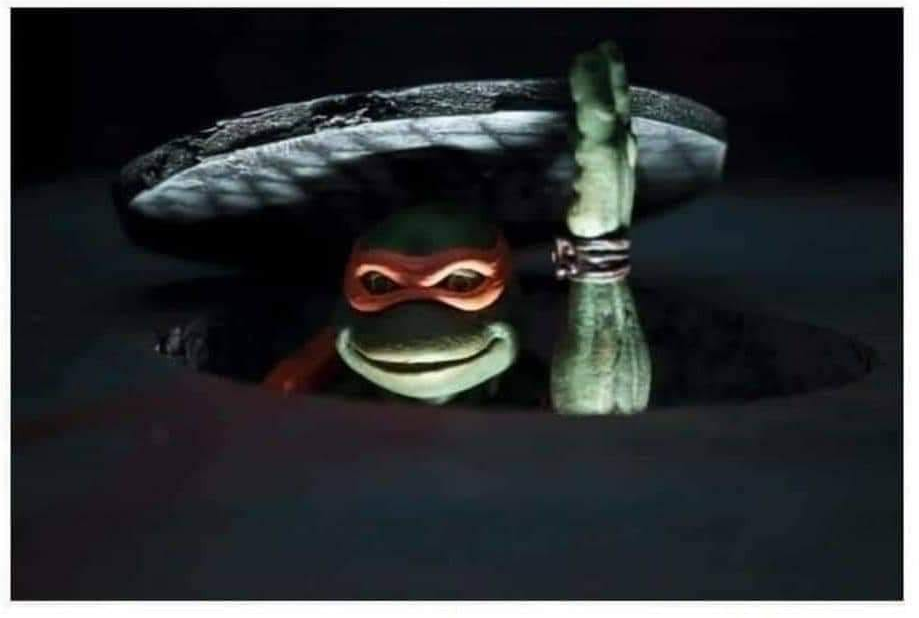 High Quality Ninja turtle Blank Meme Template