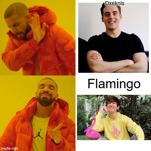 Drake Hotline Bling Meme | Dxeknis; Flamingo | image tagged in memes,drake hotline bling,FlamingoYoutube | made w/ Imgflip meme maker