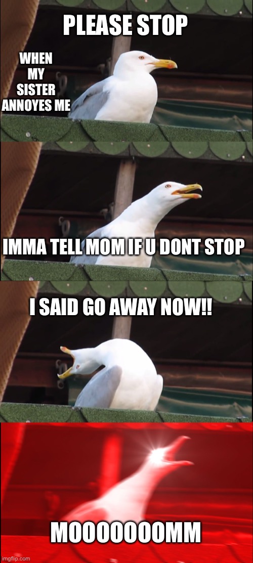 Inhaling Seagull | PLEASE STOP; WHEN MY SISTER ANNOYES ME; IMMA TELL MOM IF U DONT STOP; I SAID GO AWAY NOW!! MOOOOOOOMM | image tagged in memes,inhaling seagull | made w/ Imgflip meme maker