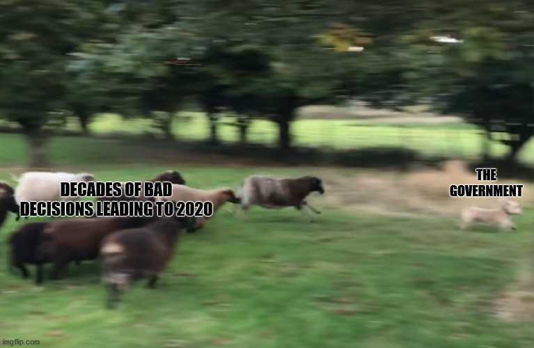 They're catching up | DECADES OF BAD DECISIONS LEADING TO 2020; THE GOVERNMENT | image tagged in 2020 sucks,dog | made w/ Imgflip meme maker