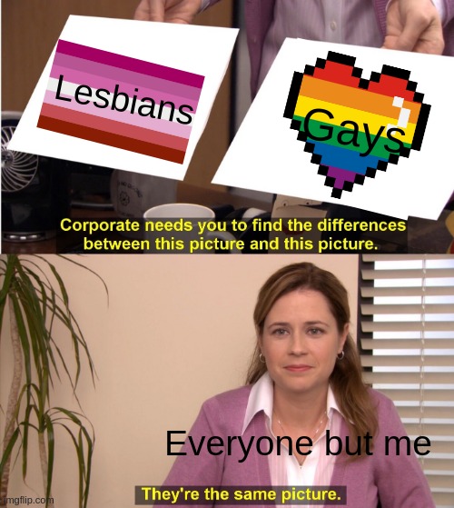 EVERYONE BUT ME | Lesbians; Gays; Everyone but me | image tagged in memes,they're the same picture | made w/ Imgflip meme maker