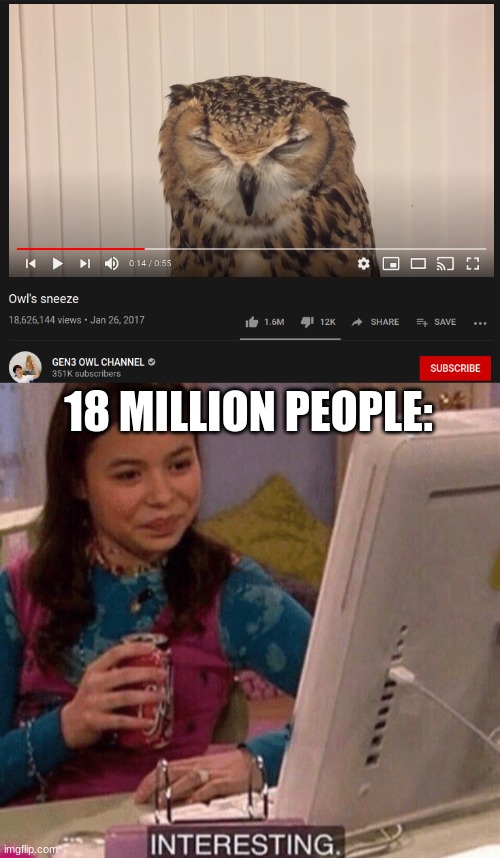 Owl sneezing is the best video I seen. | 18 MILLION PEOPLE: | image tagged in icarly interesting,cute cat,owl,memes,imgflip,unnecessary tags | made w/ Imgflip meme maker