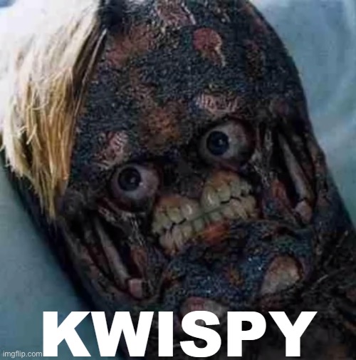 KWISPY | image tagged in kwispy | made w/ Imgflip meme maker