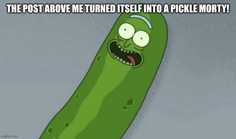 stop with these stupid trends right now something is happening | THE POST ABOVE ME TURNED ITSELF INTO A PICKLE MORTY! | image tagged in bruh | made w/ Imgflip meme maker