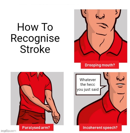 Stroke | Whatever the hecc you just said | image tagged in stroke | made w/ Imgflip meme maker