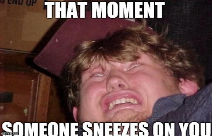 image tagged in sneeze | made w/ Imgflip meme maker