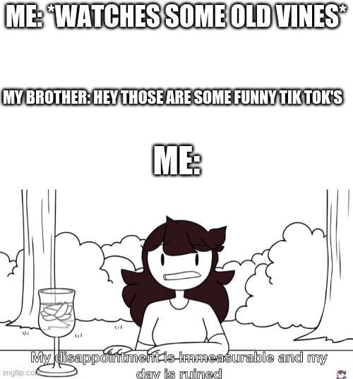 Jaiden Animations Disappointment | ME: *WATCHES SOME OLD VINES*; MY BROTHER: HEY THOSE ARE SOME FUNNY TIK TOK'S; ME: | image tagged in jaiden animations disappointment | made w/ Imgflip meme maker