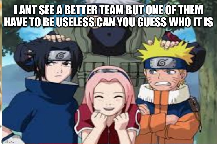 I ANT SEE A BETTER TEAM BUT ONE OF THEM HAVE TO BE USELESS.CAN YOU GUESS WHO IT IS | image tagged in funny | made w/ Imgflip meme maker