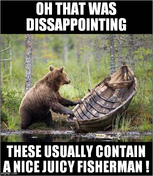 No 'Treat' For This Bear ! | OH THAT WAS DISSAPPOINTING; THESE USUALLY CONTAIN A NICE JUICY FISHERMAN ! | image tagged in fun,bear,snacks | made w/ Imgflip meme maker