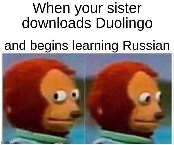 TRUE STORY | When your sister downloads Duolingo; and begins learning Russian | image tagged in memes,monkey puppet | made w/ Imgflip meme maker