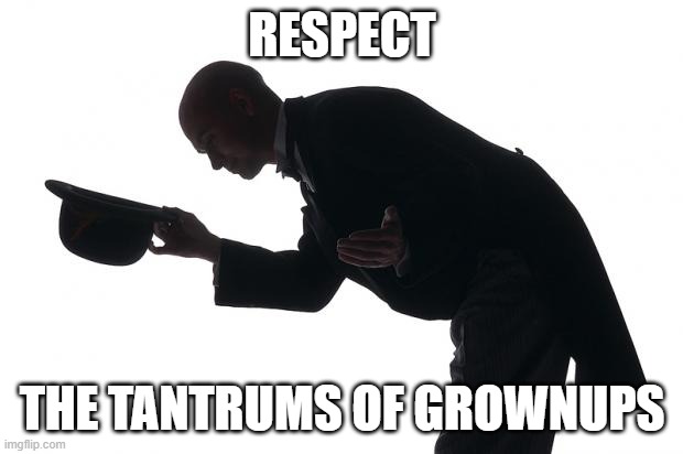 respect | RESPECT THE TANTRUMS OF GROWNUPS | image tagged in respect | made w/ Imgflip meme maker