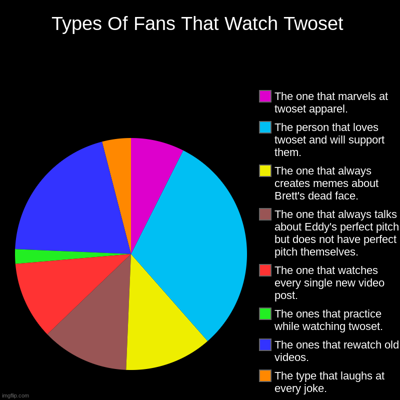 Types Of Fans That Watch Twoset | The type that laughs at every joke. , The ones that rewatch old videos., The ones that practice while watc | image tagged in charts,pie charts | made w/ Imgflip chart maker