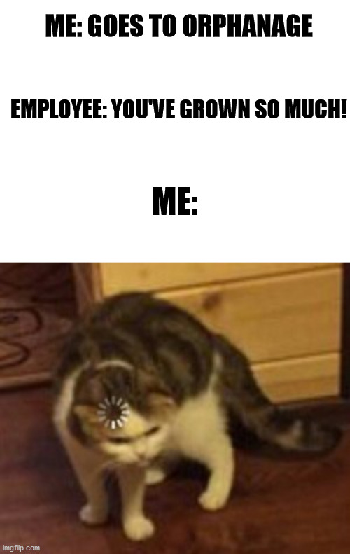*mental stability has left the chat* | ME: GOES TO ORPHANAGE; EMPLOYEE: YOU'VE GROWN SO MUCH! ME: | image tagged in blank white template,loading cat | made w/ Imgflip meme maker