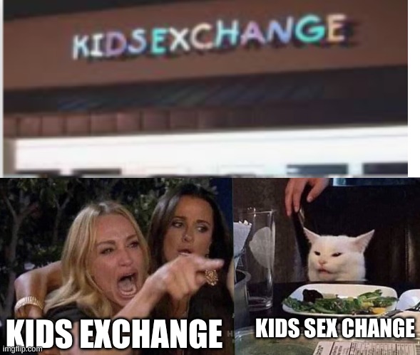 KIDS SEX CHANGE; KIDS EXCHANGE | image tagged in woman yelling at cat | made w/ Imgflip meme maker