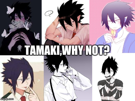 Tamaki is precious bby | TAMAKI,WHY NOT? | image tagged in blank white template,mha,memes | made w/ Imgflip meme maker