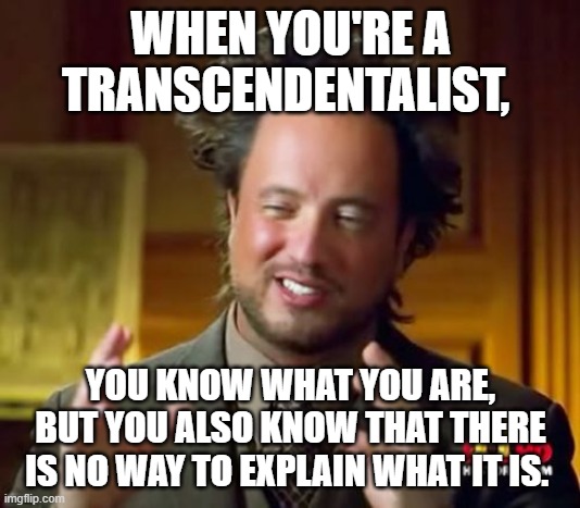 Ancient Aliens Meme | WHEN YOU'RE A TRANSCENDENTALIST, YOU KNOW WHAT YOU ARE, BUT YOU ALSO KNOW THAT THERE IS NO WAY TO EXPLAIN WHAT IT IS. | image tagged in memes,ancient aliens | made w/ Imgflip meme maker