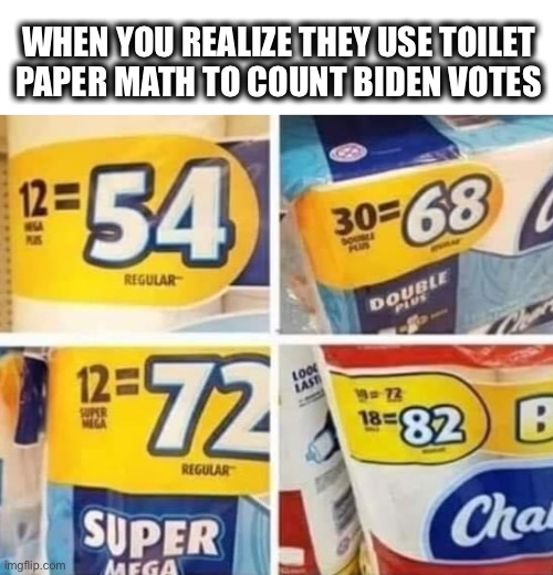 Toilet paper math. That explains it. | WHEN YOU REALIZE THEY USE TOILET
PAPER MATH TO COUNT BIDEN VOTES | image tagged in toilet paper,math,votes,election,biden,politics | made w/ Imgflip meme maker