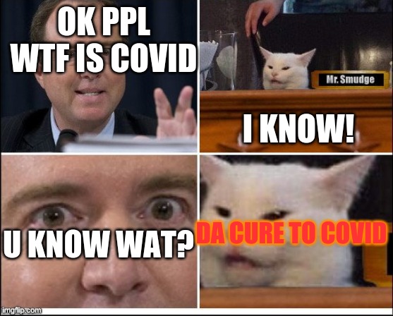 DA SMUDGE MEME | I KNOW! OK PPL WTF IS COVID; DA CURE TO COVID; U KNOW WAT? | image tagged in cats,stupid people | made w/ Imgflip meme maker
