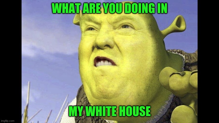 it treck | WHAT ARE YOU DOING IN; MY WHITE HOUSE | image tagged in memes,bruh | made w/ Imgflip meme maker