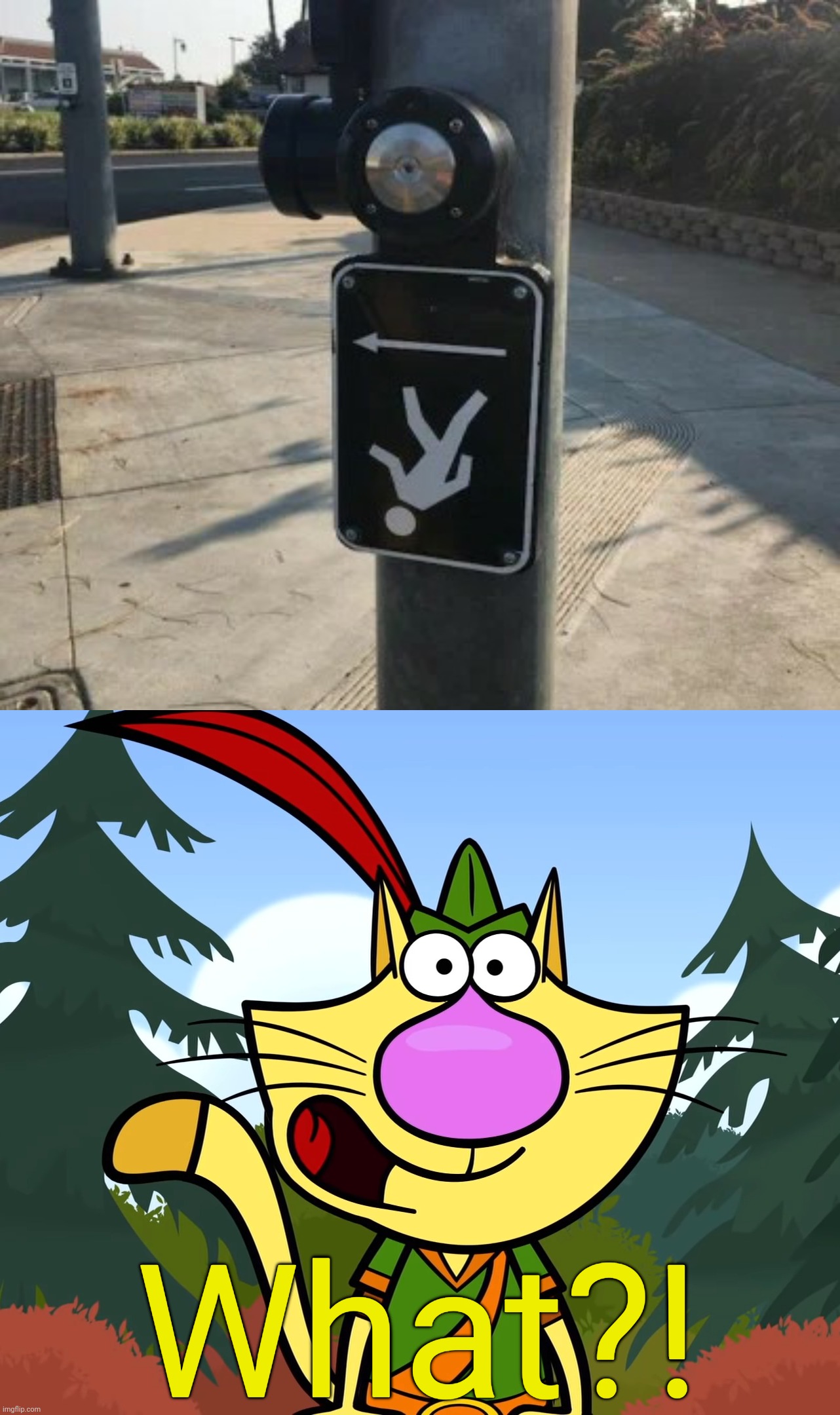 Upside down Crosswalk?! | What?! | image tagged in no way nature cat,funny,memes,you had one job,task failed successfully,fails | made w/ Imgflip meme maker