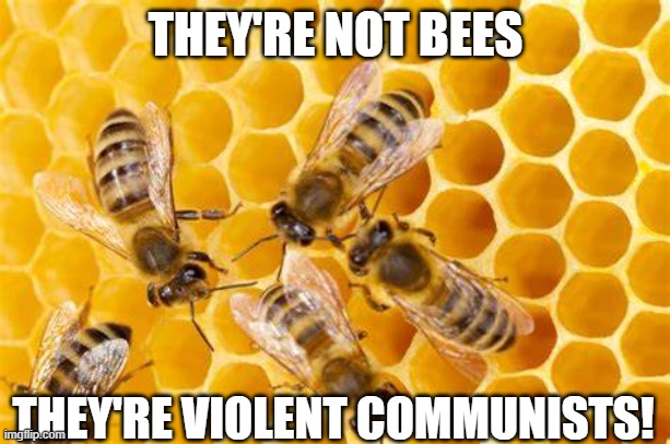THEY'RE NOT BEES THEY'RE VIOLENT COMMUNISTS! | made w/ Imgflip meme maker