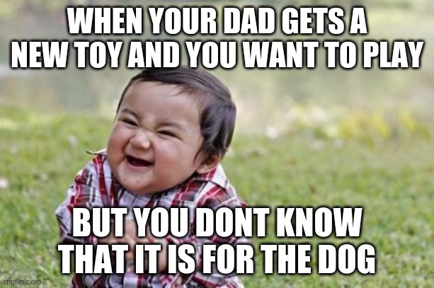 new toy | WHEN YOUR DAD GETS A NEW TOY AND YOU WANT TO PLAY; BUT YOU DONT KNOW THAT IT IS FOR THE DOG | image tagged in memes,evil toddler | made w/ Imgflip meme maker