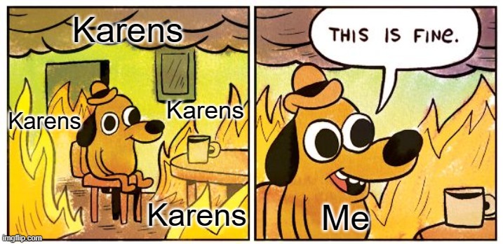 This Is Fine | Karens; Karens; Karens; Karens; Me | image tagged in memes,this is fine | made w/ Imgflip meme maker