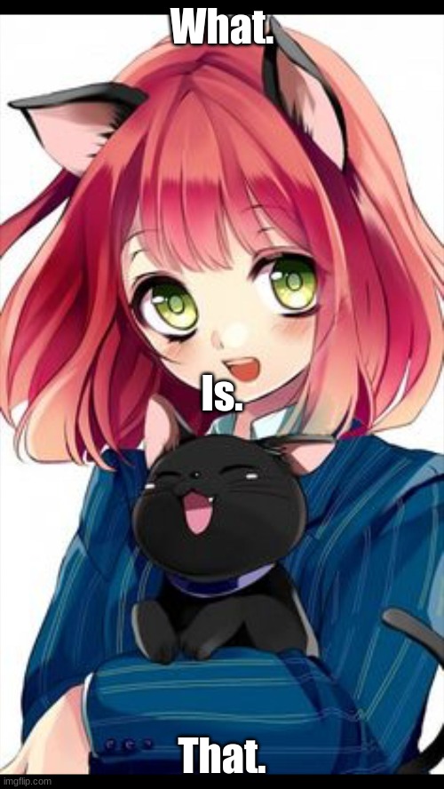Anime catgirl and her cat | What. Is. That. | image tagged in anime catgirl and her cat,cats | made w/ Imgflip meme maker