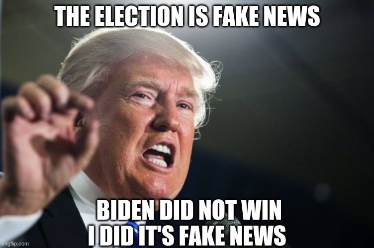 donald trump | THE ELECTION IS FAKE NEWS; BIDEN DID NOT WIN I DID IT'S FAKE NEWS | image tagged in donald trump | made w/ Imgflip meme maker