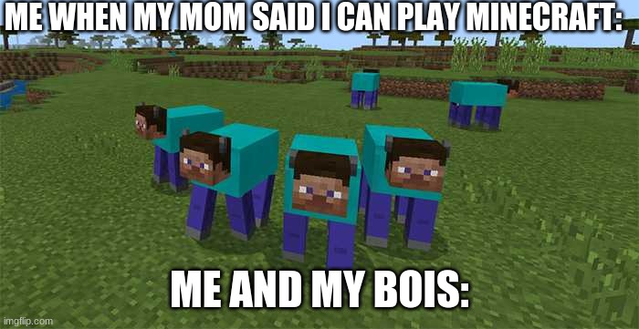 me and the boys | ME WHEN MY MOM SAID I CAN PLAY MINECRAFT:; ME AND MY BOIS: | image tagged in me and the boys | made w/ Imgflip meme maker