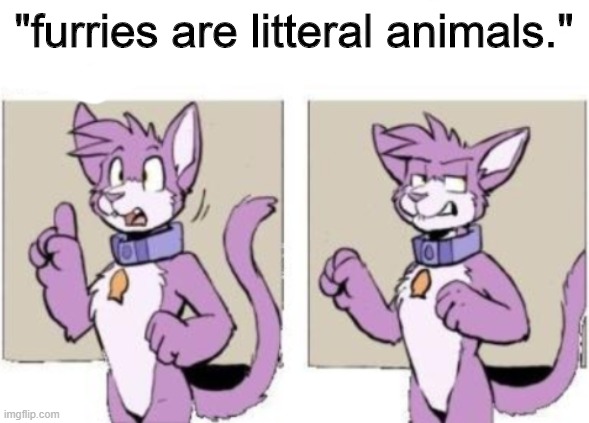 he is not wrong | "furries are litteral animals." | image tagged in furry hold on | made w/ Imgflip meme maker