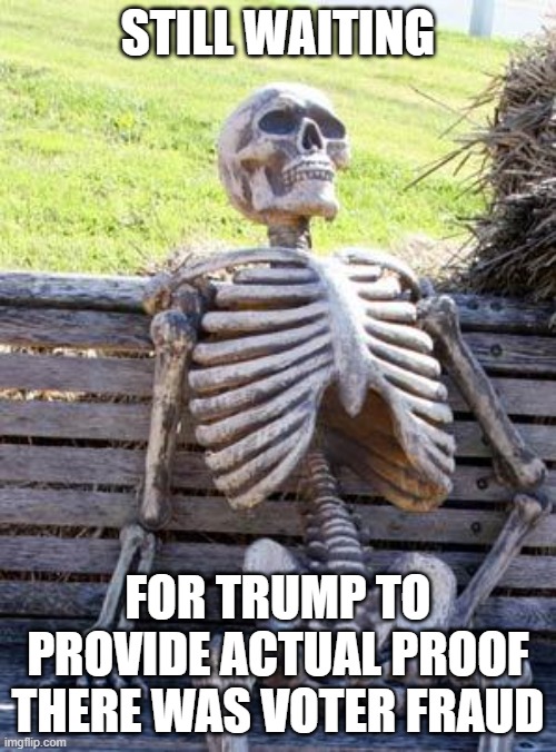 Waiting Skeleton | STILL WAITING; FOR TRUMP TO PROVIDE ACTUAL PROOF THERE WAS VOTER FRAUD | image tagged in memes,waiting skeleton | made w/ Imgflip meme maker