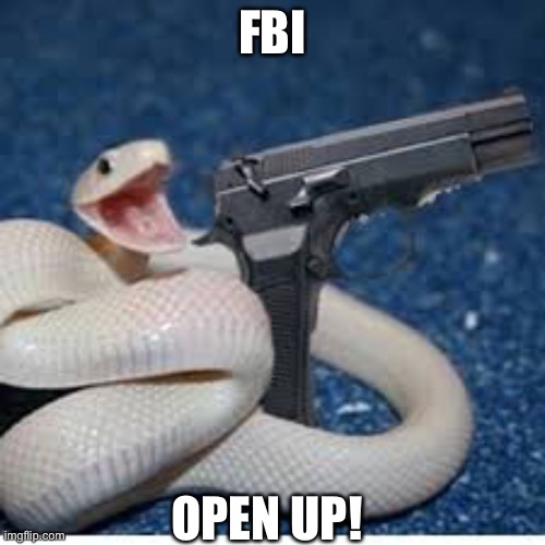 snake got gun | FBI; OPEN UP! | image tagged in snake got gun | made w/ Imgflip meme maker