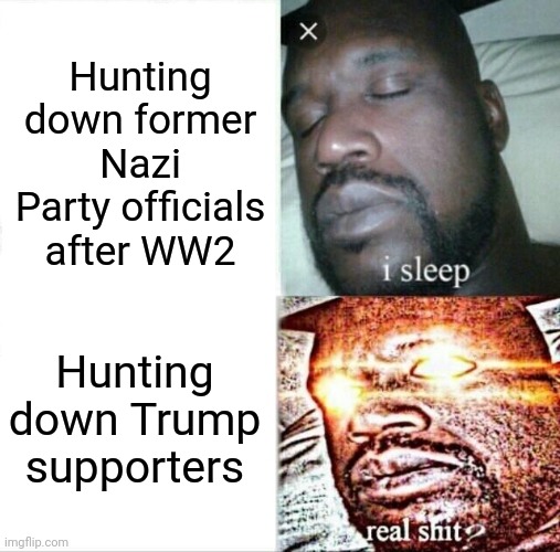 The dems' latest project.  And if you think they're not serious about this, you haven't been keeping up! | Hunting down former Nazi Party officials after WW2; Hunting down Trump supporters | image tagged in memes,sleeping shaq,stupid liberals,election 2020,persecution and prosecution,trump supporters | made w/ Imgflip meme maker