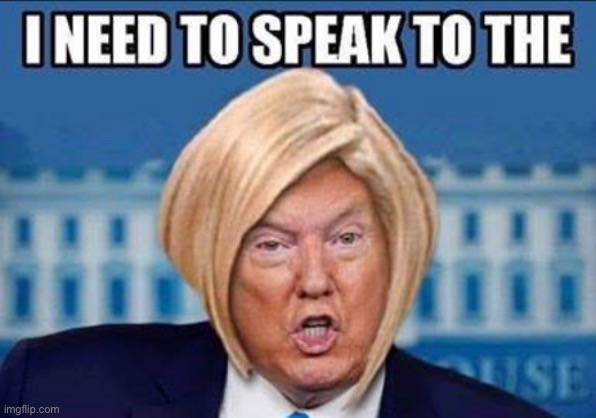 Trump karen | image tagged in trump karen | made w/ Imgflip meme maker