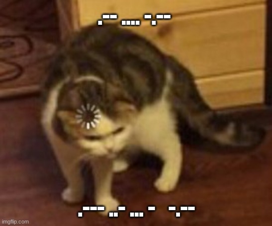 Why just Y | .-- .... -.--; .--- ..- ... -   -.-- | image tagged in loading cat,why | made w/ Imgflip meme maker