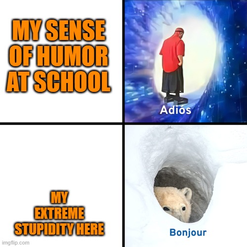 HMM WHY | MY SENSE OF HUMOR AT SCHOOL; MY EXTREME STUPIDITY HERE | image tagged in adios bonjour | made w/ Imgflip meme maker