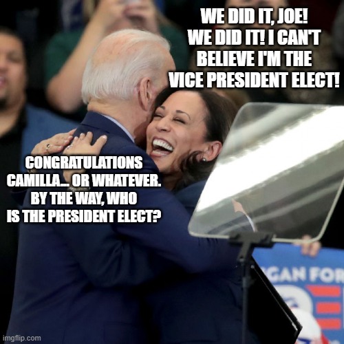 Meet Mr. 46 and Mrs. 47! | WE DID IT, JOE! WE DID IT! I CAN'T BELIEVE I'M THE VICE PRESIDENT ELECT! CONGRATULATIONS CAMILLA... OR WHATEVER. BY THE WAY, WHO IS THE PRESIDENT ELECT? | image tagged in joe biden kamala harris | made w/ Imgflip meme maker