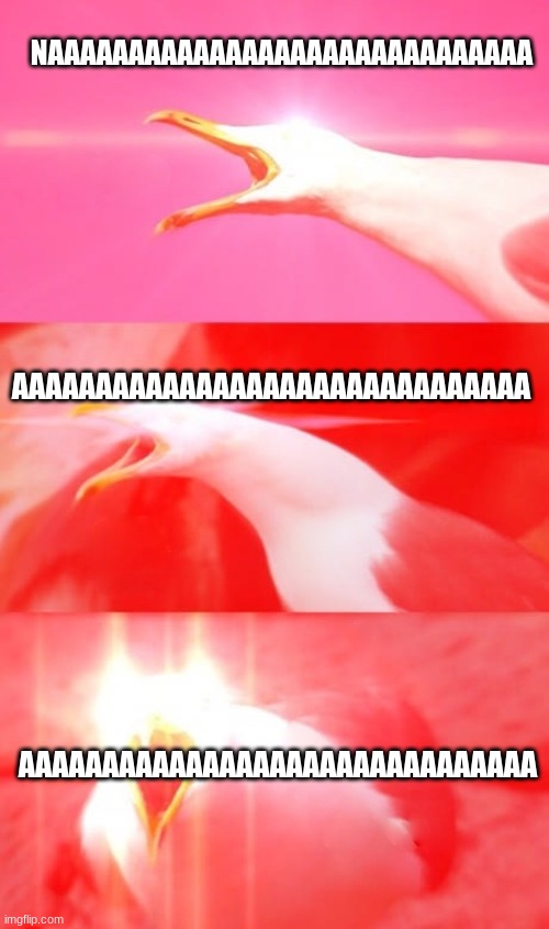 Inhaling Seagull Reply | NAAAAAAAAAAAAAAAAAAAAAAAAAAAAAA AAAAAAAAAAAAAAAAAAAAAAAAAAAAAAA AAAAAAAAAAAAAAAAAAAAAAAAAAAAAAA | image tagged in inhaling seagull reply | made w/ Imgflip meme maker