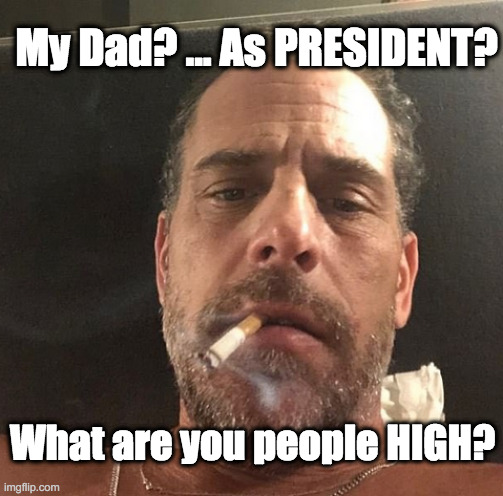 Hunter Aghast | My Dad? ... As PRESIDENT? What are you people HIGH? | image tagged in hunter biden,joe biden,drugs | made w/ Imgflip meme maker