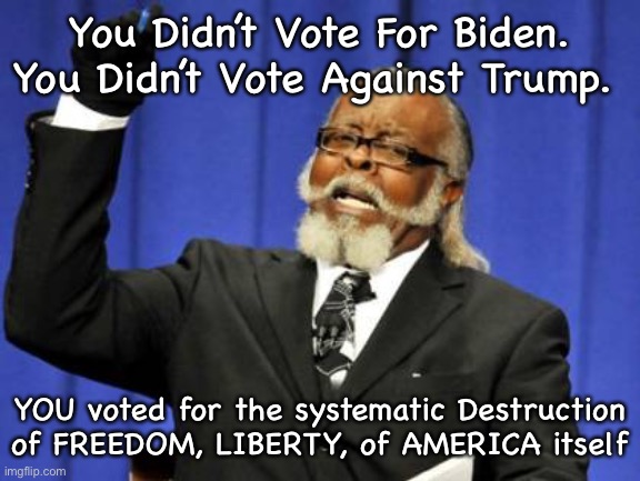 Too Damn High Meme | You Didn’t Vote For Biden. You Didn’t Vote Against Trump. YOU voted for the systematic Destruction of FREEDOM, LIBERTY, of AMERICA itself | image tagged in memes,too damn high | made w/ Imgflip meme maker