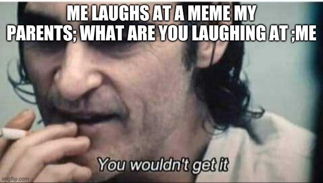 why do my parents dont get memes until i tell them about it | ME LAUGHS AT A MEME MY PARENTS; WHAT ARE YOU LAUGHING AT ;ME | image tagged in you wouldn't get it | made w/ Imgflip meme maker