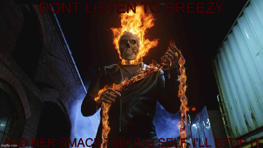 Bring It On Bitch | DONT LISTEN TO BREEZY; AND HER SMACK TALKING SELF, I'LL STOP IT | image tagged in ghost rider | made w/ Imgflip meme maker