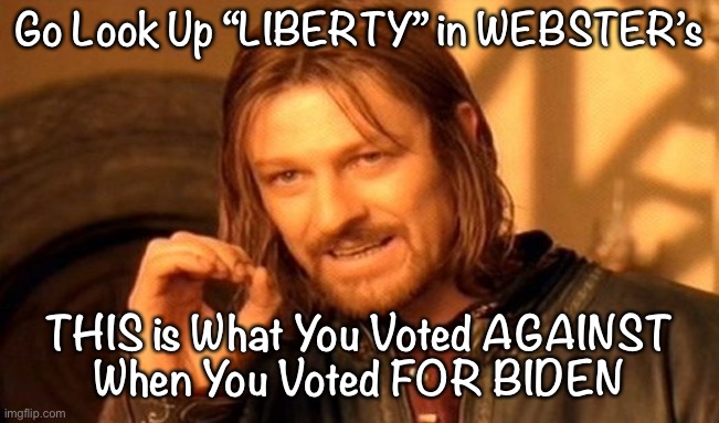 One Does Not Simply | Go Look Up “LIBERTY” in WEBSTER’s; THIS is What You Voted AGAINST
When You Voted FOR BIDEN | image tagged in memes,one does not simply | made w/ Imgflip meme maker
